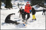 Weihnachtsevent Idee Ostschweiz